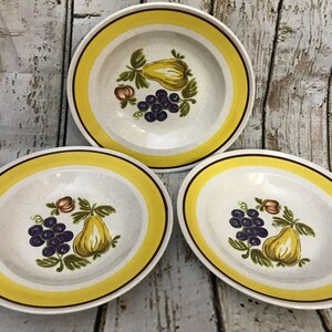 Vintage Mikasa Country Casuals Bounty Soup Bowls Japan Stoneware Set of 3
