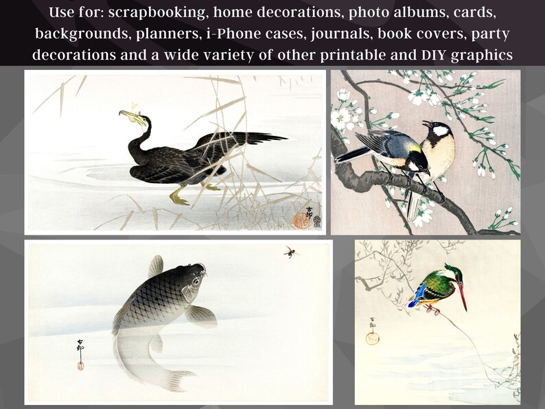 May include: Four digital illustrations of Japanese birds and fish. The top left image shows a black cormorant swimming in a pond. The top right image shows two birds perched on a branch with white blossoms. The bottom left image shows a grey and black carp swimming in a pond. The bottom right image shows a green and blue kingfisher perched on a branch with red berries.
