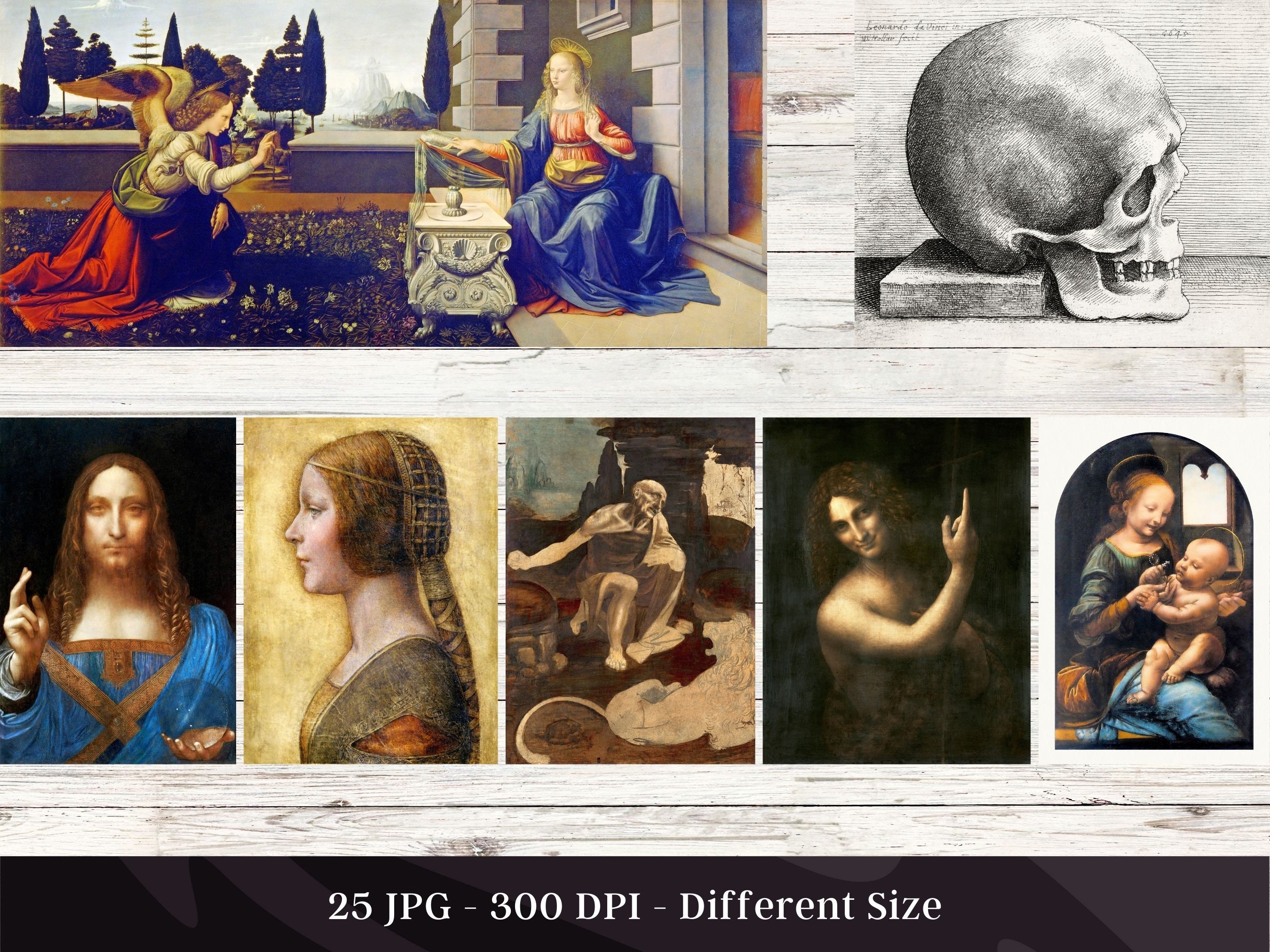 Leonardo Da Vinci Artwork Paintings | 25 HQ Digital Image Bundle