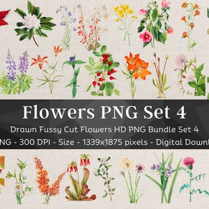 41 Flower PNG Bundel Set 4 | HQ Vintage getekende bloemafbeeldingen | Digitale stickers voor notitie-apps | Kieskeurig gesneden clipart| Scrapbook Junk Journal Art