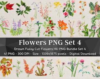 41 Flower PNG Bundle Set 4 | HQ Vintage Drawn Flower Images | Digital Stickers for Note Apps | Fussy Cut Clipart| Scrapbook Junk Journal Art