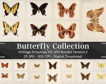 Papillons Art | ensemble de dessins de papillons vintage | 25 Illustration imprimable HQ | Art mural | Décoration d'intérieur | Nature | Insecte | Antique