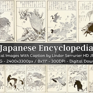 以下が含まれることがあります： 様々な動物や鳥を描いた、ヴィンテージの日本の百科事典のイラスト集。鷹、アヒル、雄牛などが含まれています。画像は白黒で、詳細な線画と日本語のテキストが特徴です。「Japanese Encyclopedia」というタイトルが表示されています。