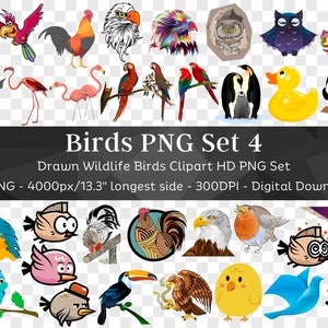 Oiseau 85 PNG Bundle 4 | Clipart de dessin animé PNG | Perroquet Flamant rose Pingouin Hibou Cigogne Cygne Canard Toucan Héron | Fichiers pour Cricut| Téléchargement numérique