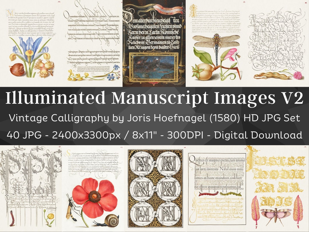 洋書 Illuminated Manuscripts Illuminated Manuscripts (Shire Library, 841): Hayman