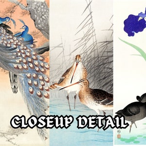 May include: A vintage Japanese art print featuring three different scenes. The first scene shows a pair of peacocks with blue and green feathers. The second scene shows two brown birds with long legs standing in a marsh. The third scene shows a purple iris flower with green leaves and two black birds with red eyes.