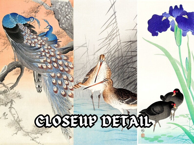 May include: A vintage Japanese art print featuring three different scenes. The first scene shows a pair of peacocks with blue and green feathers. The second scene shows two brown birds with long legs standing in a marsh. The third scene shows a purple iris flower with green leaves and two black birds with red eyes.
