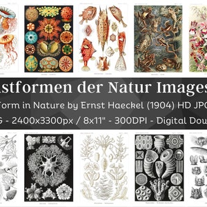 Art Form in Nature, Kunstformen der Natur Ernst Haeckel V2 | 48 HQ Printable Lithographic Images| Art Nouveau Wall Art Set| Digital Download