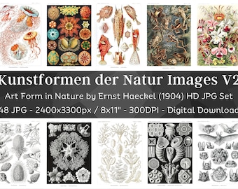 Könnte beinhalten: Ein digitaler Download mit Vintage-Illustrationen aus Ernst Haeckels "Kunstformen der Natur" (1904). Das Set enthält 48 hochauflösende JPG-Bilder, jeweils ca. 20x28 cm, mit detaillierten Zeichnungen verschiedener Organismen.