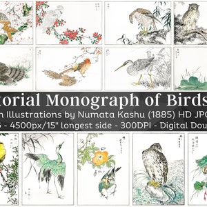 Illustrazioni di uccelli giapponesi Vintage Asian Bird Monografia Woodblocks V2 / 52 HQ Immagine digitale Bundle Oriental Avian Wall Art / Download istantaneo