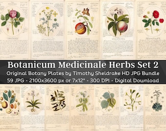 Botanicum Medicinale Herbs Description & Uses 59 HQ Vintage Illustrations Set 2 | Vintage Flowers Botanical Plates | Nature Art Home Décor