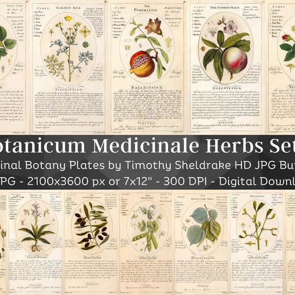 Botanicum Medicinale Herbs Description & Uses 59 HQ Vintage Illustrations Set 2 | Vintage Flowers Botanical Plates | Nature Art Home Décor