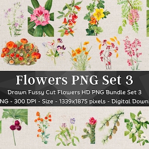 39 Blumen PNG Bundle Set 3 | HQ Vintage Gezeichnete Blumenbilder | Süßer Schnitt Clipart | Scrapbook Junk Journal Art| Digitale Sticker für Note Apps