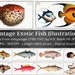 see more listings in the ANIMAL BIRD FISH Insect section