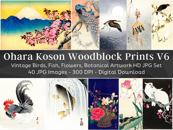 Ohara Koson Woodblock Print Artwork Images Set 6 | 40 HQ Digital JPG Bundle | Vintage Japan | Flowers Botanical Birds Fish| Instant Download