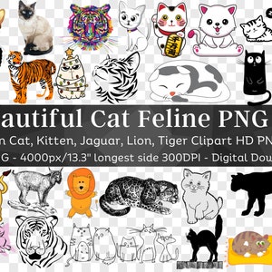 猫 ネコ科動物 84 PNG バンドル V2 | 線画 抽象 漫画 クリップアート シルエット ライオン トラ ジャガー 黒猫 かわいい子猫 | デジタルダウンロード