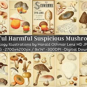 Nützliche, Schädliche, Verdächtige Pilze 21 Vintage Illustrationen| Digitales Fungi Junk Journal Papier Mykologie Folio Seiten| Natur Art Wohnkultur