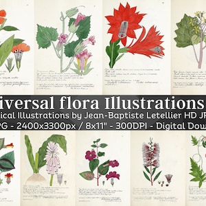 Universal Flora 104 Botanical Illustrations V2 | Botany Plant Images, Nature Wall Art Bundle | HQ Vintage Flower Paintings| Digital Download