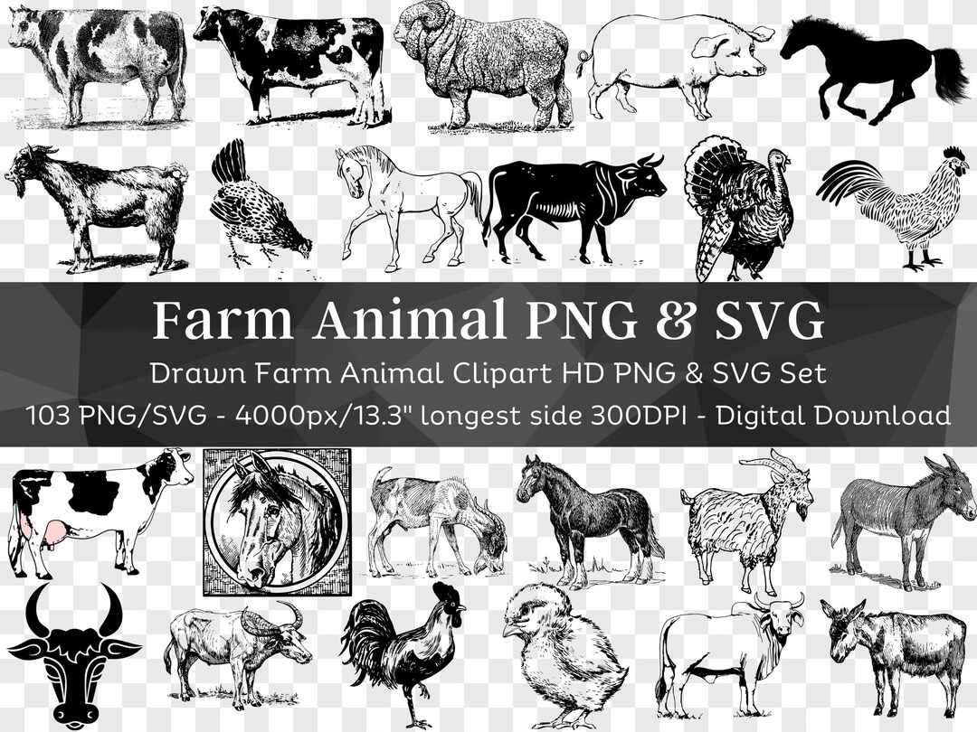 Farm Animal 103 PNG & SVG Bundle | Clipart Silhouette SVG| Chicken, Cow ...