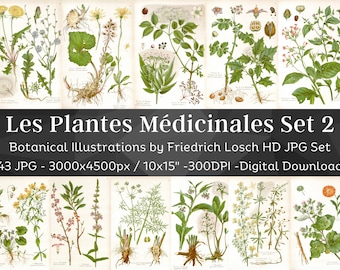 May include: A set of 43 botanical illustrations of medicinal plants, featuring detailed drawings of leaves, flowers, and roots. The illustrations are in a vintage style and are perfect for use in crafting, scrapbooking, or as wall art. The title "Les Plantes Médicinales Set 2" is displayed at the top of the image.