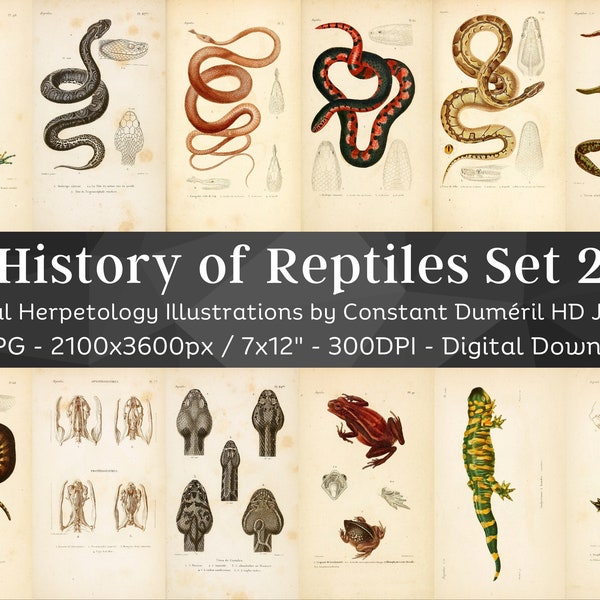 Herpétologie générale ou histoire des amphibiens et des reptiles 59 Images HD V2 | Collection d’illustrations Folio Serpent Tortue Lézard| Lot d'art mural