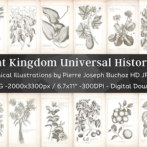 Pflanzenreich 98 Botanische Illustrationen Set 1 | Botanik Bilder Heilpflanze Wand Kunst Bundle | HQ Kräuter Blumen Zeichnungen| Digitaler Download