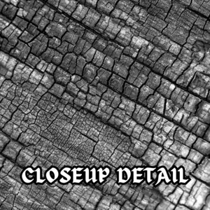 Digital Various Wood Texture Pack | 24 Natural Weathered Dark &amp; Light ...