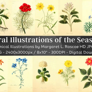 Floral Illustrations of the Seasons Vintage Flower Botanical Plates | 55 HQ Vintage Botanical Illustrations | Old Book Nature Art Home Décor