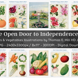 De open deur naar onafhankelijkheid 40 illustraties | ATC bloem- en groenteafdrukbare muurkunstbundel | HQ Keuken Decor Kunst | Digitaal downloaden