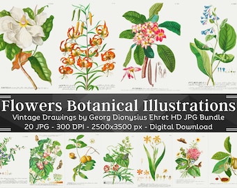 20 HQ Vintage Botanical Illustrations | Old Book Printable Wall Art Bundle | Vintage Flowers Botanical Plates | Nature Wall Art Home Décor