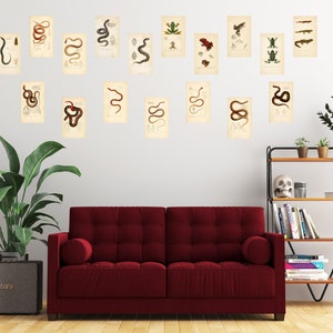 May include: A living room interior with a red sofa, a potted plant, a bookshelf with books and a skull, and a wall decorated with vintage illustrations of snakes and frogs.