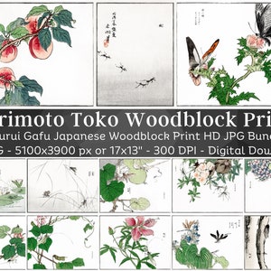 Morimoto Toko Woodblock Prints 24 HQ Digital JPG Bundle| Flower Dragonfly Cicada| Churui Gafu Vintage Japan Minimalist Art| Instant Download