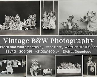 Black and White Photography Set | 31 HQ Vintage B&W Photos| Frees Harry Whittier Huge Vintage Photograph Animal Cat Dog Scrapbook Decor Pack