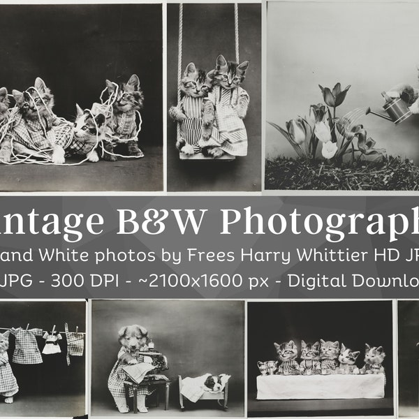 Black and White Photography Set | 31 HQ Vintage B&W Photos| Frees Harry Whittier Huge Vintage Photograph Animal Cat Dog Scrapbook Decor Pack