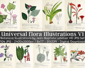 Universal Flora 104 Botanical Illustrations V1 | Botany Plant Images, Nature Wall Art Bundle | HQ Vintage Flower Paintings| Digital Download