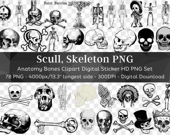 Calavera, Esqueleto PNG Paquete / 78 Huesos Clipart / Anatomía, Calavera y Corona, Huesos, Pirata Tibias Cruzadas y Calavera, Halloween PNG/ Descarga Digital