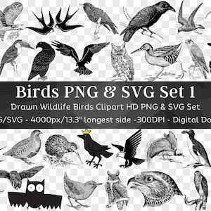 Bird 105 PNG & SVG Bundle / Clipart Silhouette SVG / Owl Crow Albatross Pigeon Crane Duck Flamingo Hawk / Archivos para Cricut / Descarga digital