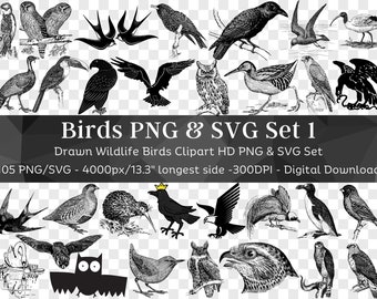 Bird 105 PNG & SVG Bundle | Clipart Silhouette SVG | Owl Crow Albatross Pigeon Crane Duck Flamingo Hawk | Files for Cricut| Digital Download