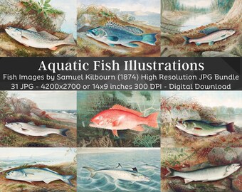 Vintage Fish Gallery Wall Set van 31 door Samuel Kilbourne | Forel Makreel Bass Sprot Baars | Vis Prints Vis Schilderij Poster Kust Decor
