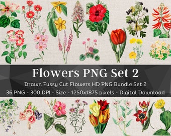 36 Flower PNG Bundle Set 2 | HQ Vintage Drawn Flower Images | Fussy Cut Clipart | Digital Stickers for Note Apps| Scrapbook Junk Journal Art