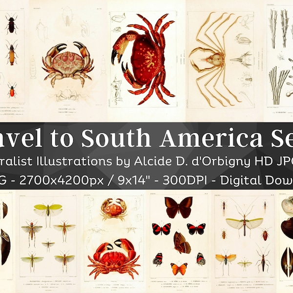 South American Expedition 89 Illustrations V3| Naturalist Nautical Wall Art Bundle| Nature Room Decor Crab Shrimp Bug Shell Digital Download