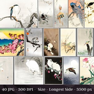May include: A collection of 40 Japanese-style illustrations featuring birds, flowers, and landscapes. The images are in a traditional style with delicate brushstrokes and muted colors.
