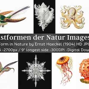 Art Form in Nature, Kunstformen der Natur Ernst Haeckel V3 | 71 HQ Printable Lithographic Images| Art Nouveau Wall Art Set| Digital Download