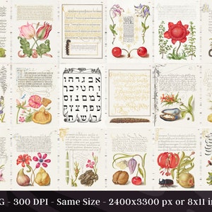 original old testament manuscripts original old testament manuscripts
