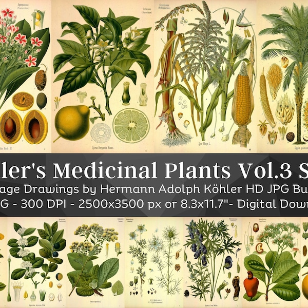 Kohler's Medicinal Plants Volume 3 Set 2 | 40 HQ Vintage Medical Plant Illustrations | Vintage Flowers Botanical Plates | Nature Home Décor