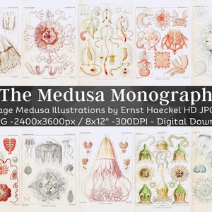 Monografía de Medusa Ernst Haeckel 60 HQ Ilustraciones de medusas imprimibles / Regalo amante de las ciencias marinas / Decoración de arte de pared náutica / Descarga digital
