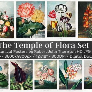 Temple of Flora 16 Vintage Flower Poster Illustrations V1| Botany Plant Images| HQ Vintage Flower Painting Wall Art Bundle| Digital Download