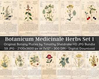 May include: A set of 59 vintage botanical illustrations of medicinal herbs. The illustrations are in a traditional style with detailed drawings of the plants and their parts. The illustrations are in black and white with a light brown background. The text on the illustrations is in English and includes the name of the plant, its common name, and its medicinal properties.