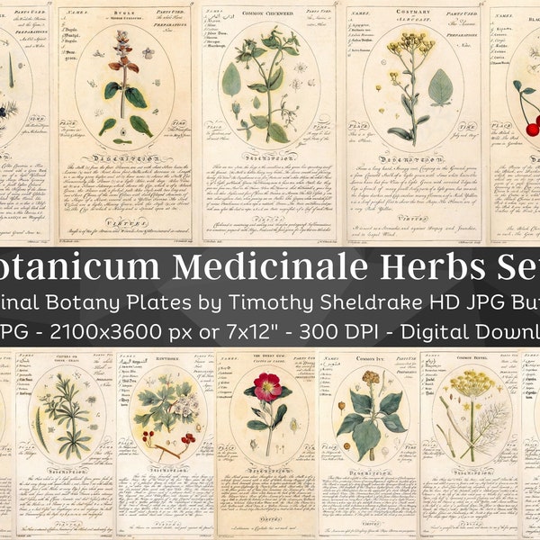 Botanicum Medicinale Herbs Description & Uses 59 HQ Vintage Illustrations Set 1 | Vintage Flowers Botanical Plates | Nature Art Home Décor