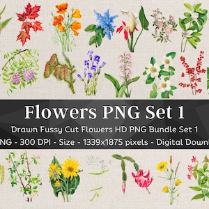 39 Flower PNG Bundle Set 1 | Fussy Cut Clipart | HQ Vintage Drawn Flower Images | Digital Stickers for Note Apps| Scrapbook Junk Journal Art